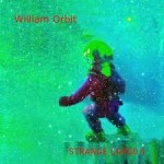 William Orbit - Strange Cargo 5