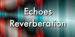 Donate-Echoes Reverberation