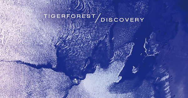 Tigerforest-Discovery