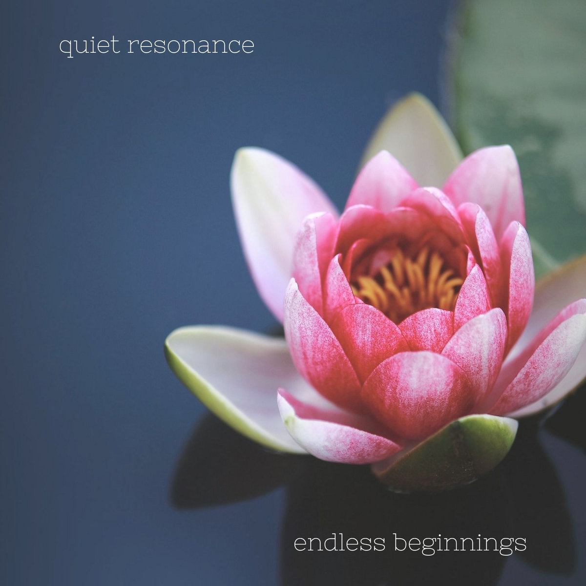 Quiet Resonance - Endless Beginnings
