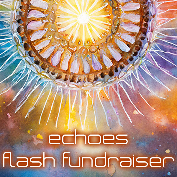 Flash Fundraiser