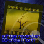 Erik Wollo's Solastalgia - Echoes November CD of the Month